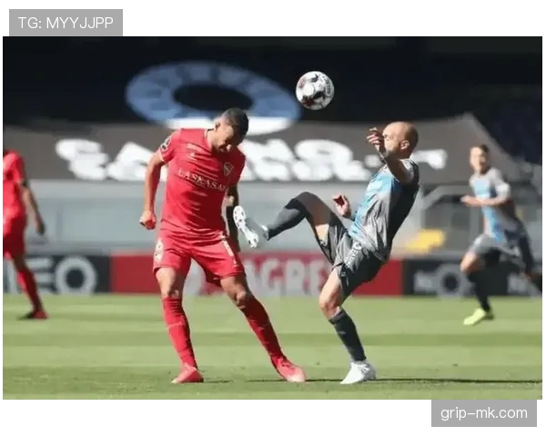 波尔图防守强度持续提升,铸就联赛最强防线 波尔图防守强度持续提升,铸就联赛最强防线